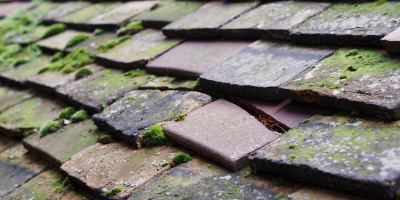 Coalbrookdale roof repair costs